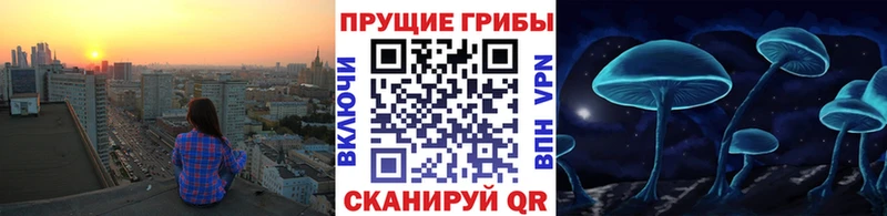 Псилоцибиновые грибы мицелий Шлиссельбург