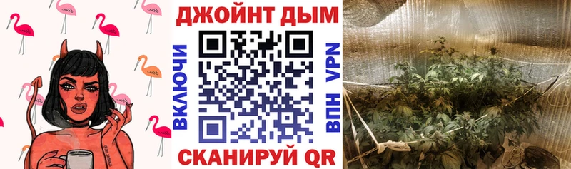 blacksprut ссылки  Шлиссельбург  Бошки Шишки семена  хочу наркоту 